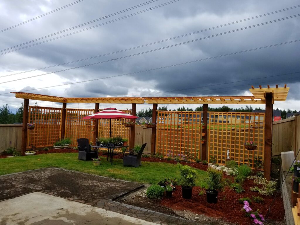 Backyard pergola and cedar privacy screen built along the fence line