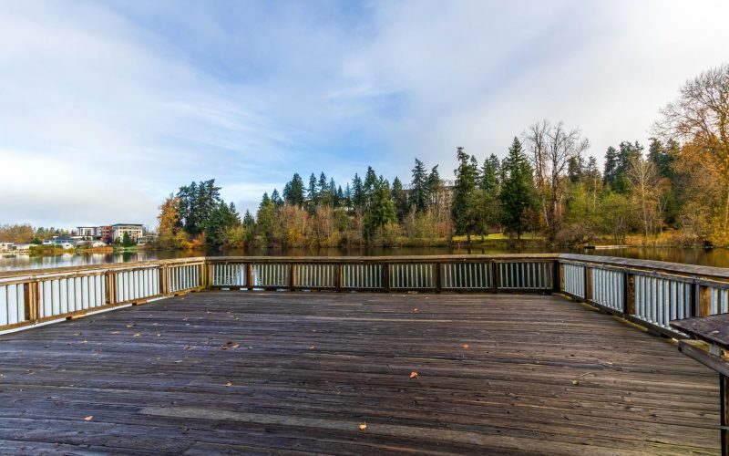 pexels-williamjacobs-34808878