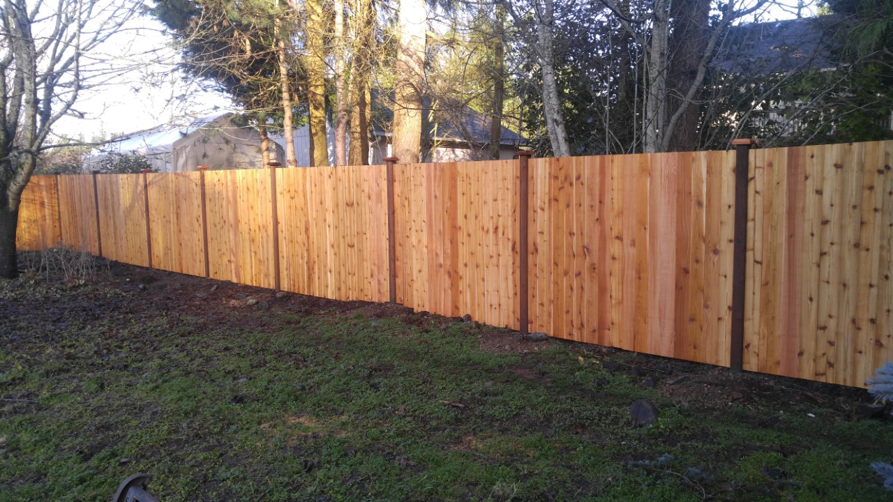 Fencing Solutions That Protect and Enhance Your Property