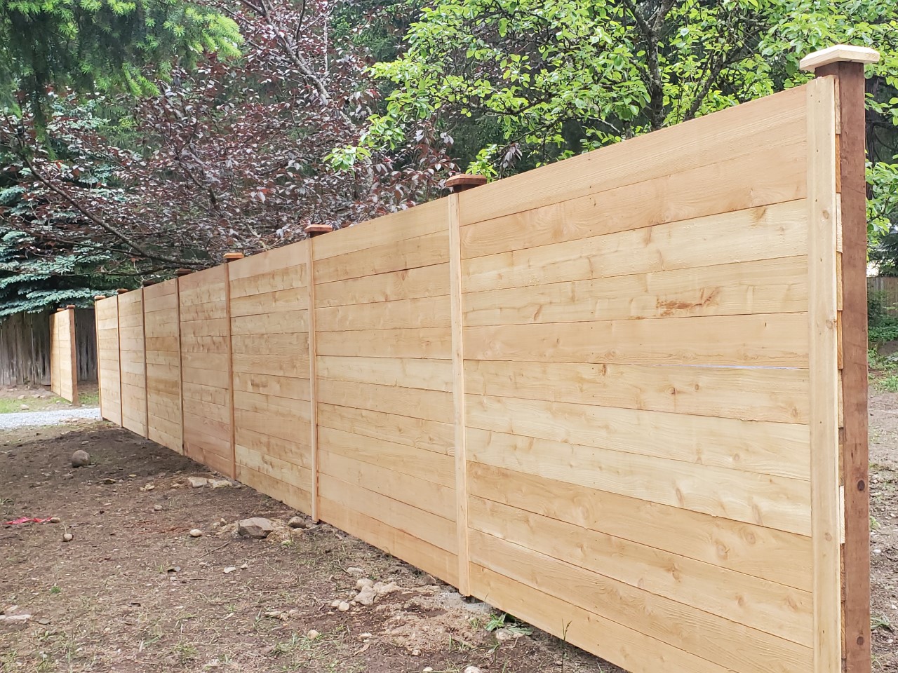 Cedar vs other wood fencing