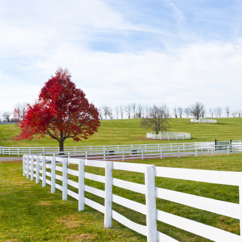 Top Fence Contractor Bonney Lake: Quality Fencing Solutions