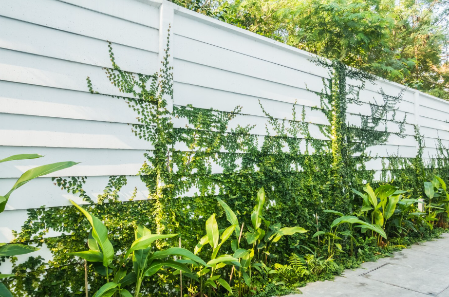 Deck Building Gallery